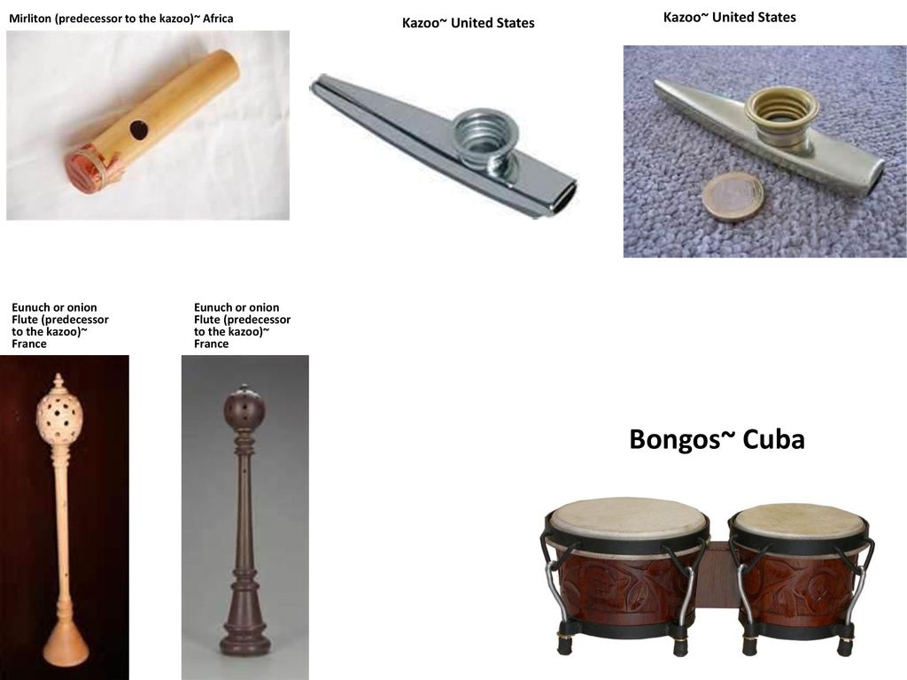 Bass kazoo 2024